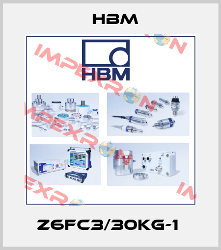 Z6FC3/30KG-1  Hbm