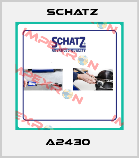A2430  Schatz