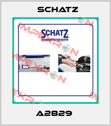 A2829  Schatz