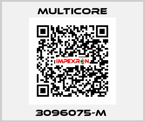 3096075-M  Multicore