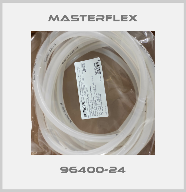 96400-24 Masterflex