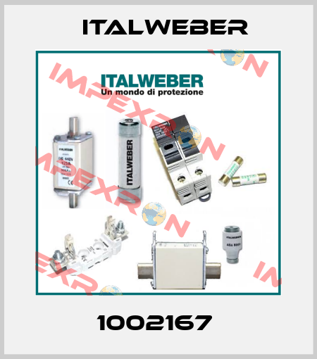 1002167  Italweber