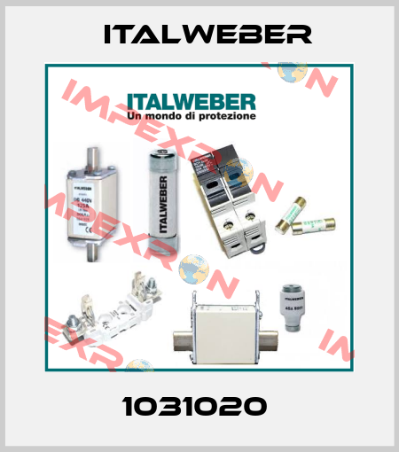 1031020  Italweber