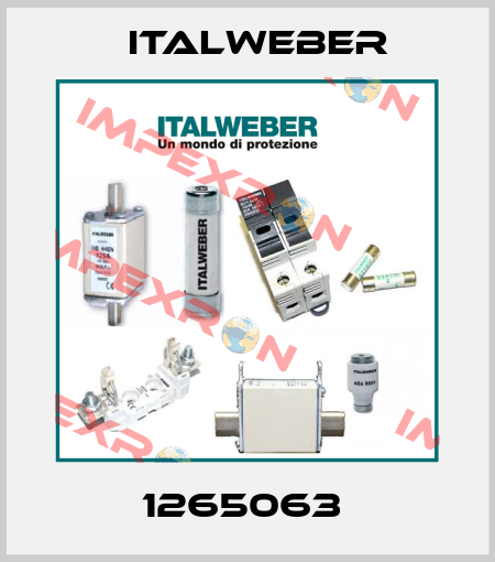 1265063  Italweber