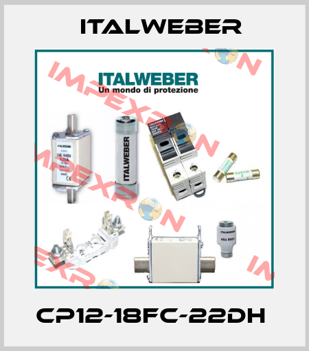 CP12-18FC-22DH  Italweber