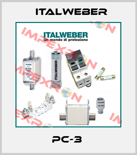 PC-3  Italweber