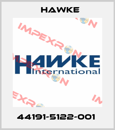 44191-5122-001  Hawke