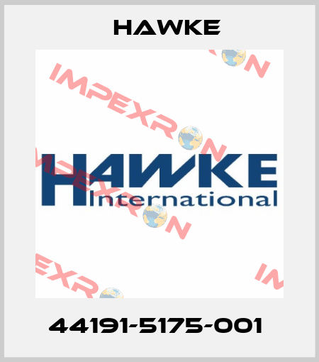 44191-5175-001  Hawke