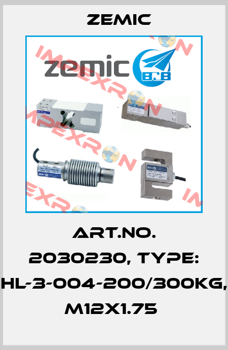 Art.No. 2030230, Type: HL-3-004-200/300kg, M12x1.75  ZEMIC