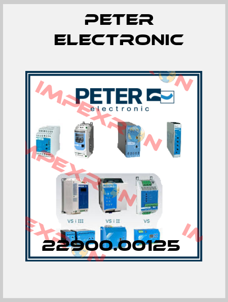 22900.00125  Peter Electronic