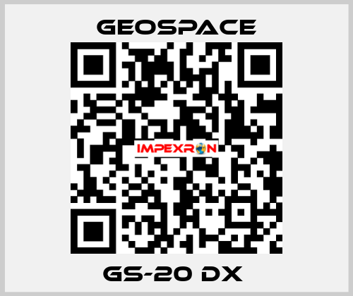 GS-20 DX  GeoSpace