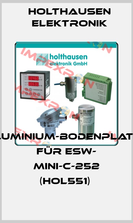 Aluminium-Bodenplatte für ESW- Mini-C-252 (hol551)  HOLTHAUSEN ELEKTRONIK