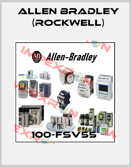 100-FSV55  Allen Bradley (Rockwell)