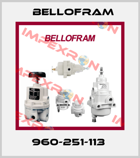 960-251-113  Bellofram