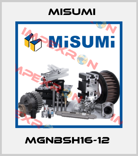 MGNBSH16-12  Misumi
