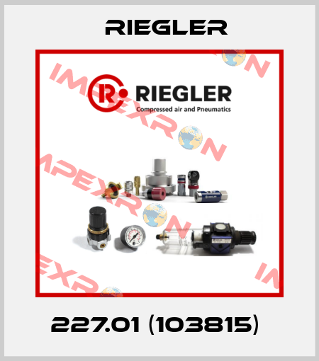 227.01 (103815)  Riegler