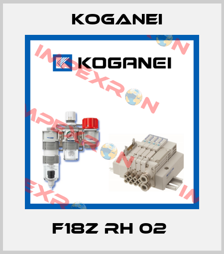 F18Z RH 02  Koganei