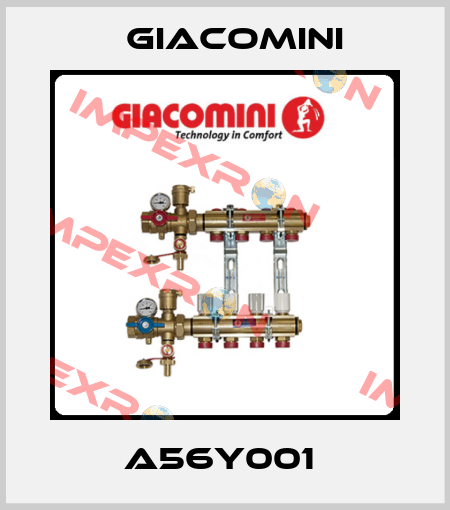 A56Y001  Giacomini
