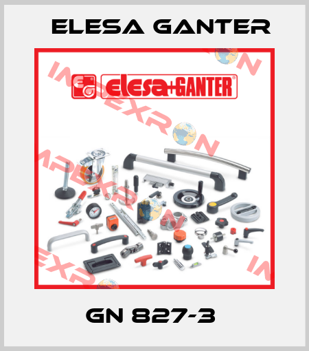 GN 827-3  Elesa Ganter