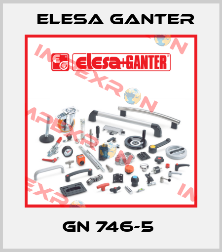 GN 746-5  Elesa Ganter
