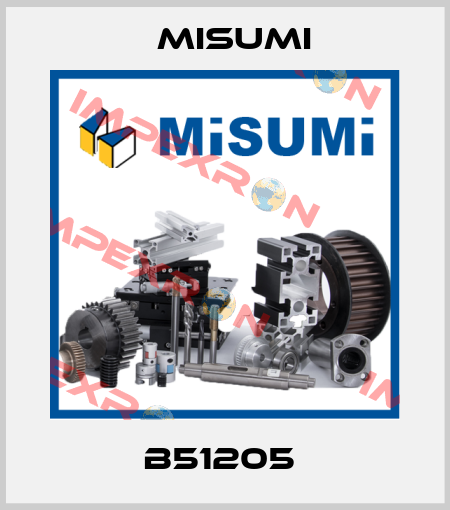 B51205  Misumi