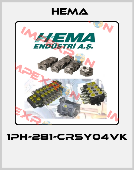 1PH-281-CRSY04VK  Hema