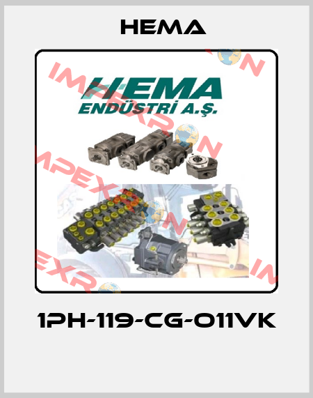 1PH-119-CG-O11VK  Hema