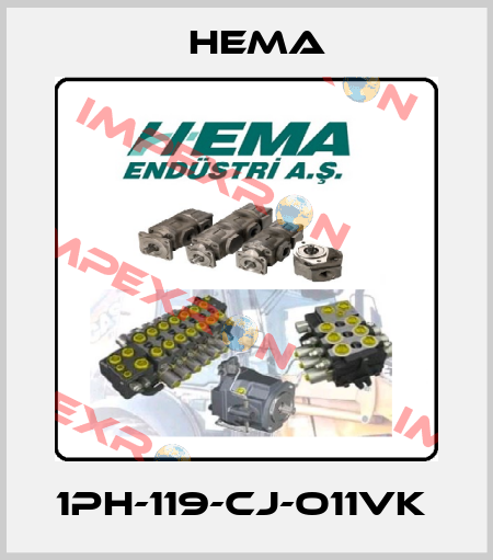 1PH-119-CJ-O11VK  Hema
