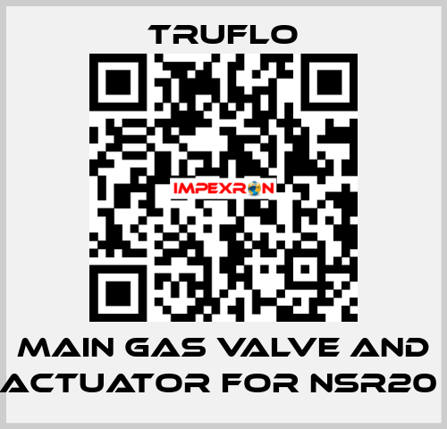 Main Gas Valve and Actuator For NSR20  TRUFLO