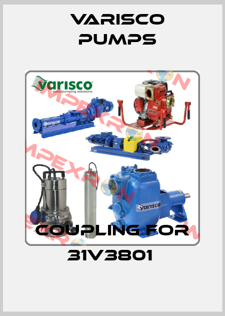 Coupling for 31V3801  Varisco pumps