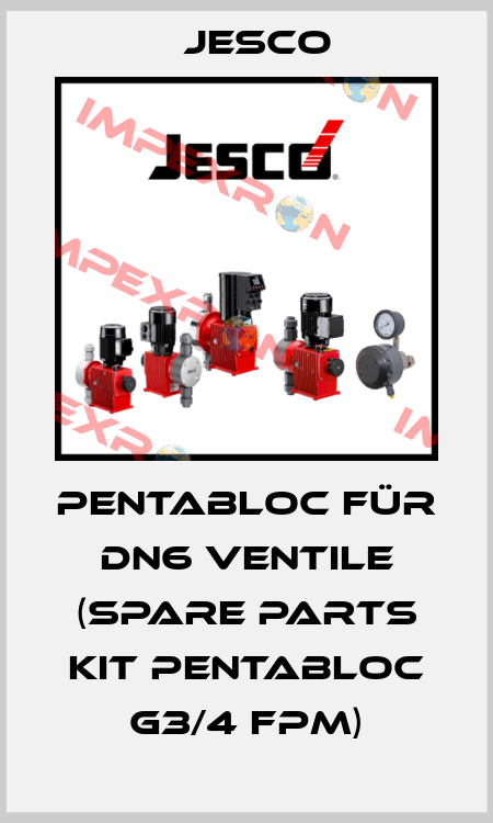 PENTABLOC für DN6 Ventile (Spare Parts Kit PENTABLOC G3/4 FPM) Jesco