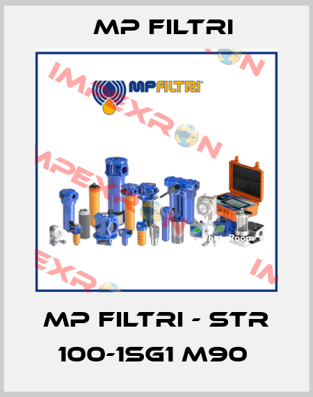 MP Filtri - STR 100-1SG1 M90  MP Filtri