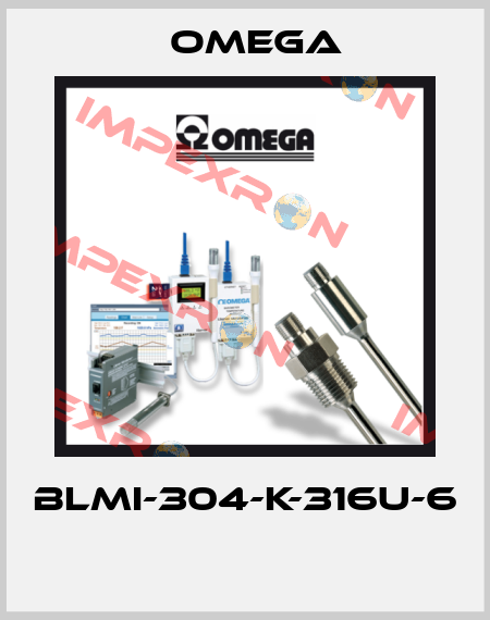 BLMI-304-K-316U-6  Omega