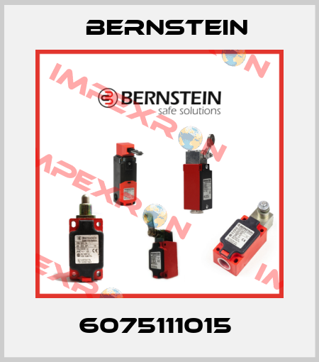 6075111015  Bernstein