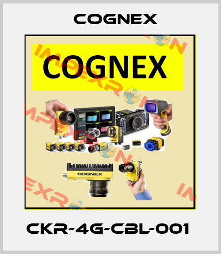 CKR-4G-CBL-001  Cognex