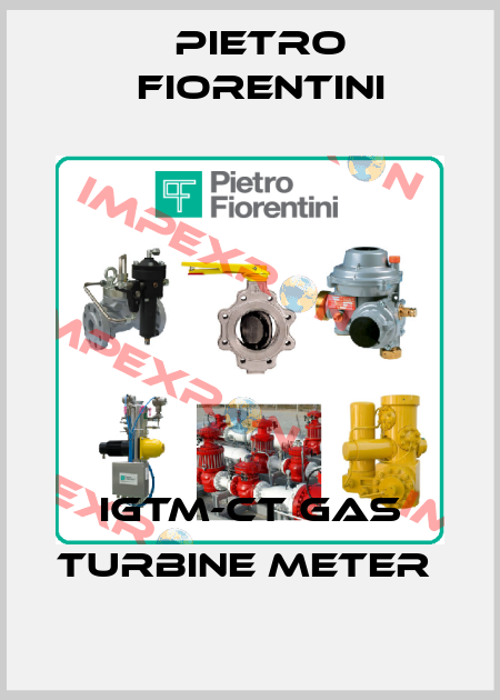 IGTM-CT Gas Turbine Meter  Pietro Fiorentini
