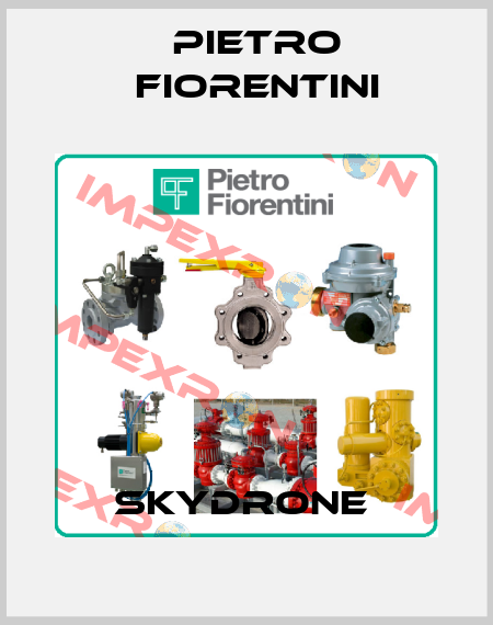 Skydrone  Pietro Fiorentini