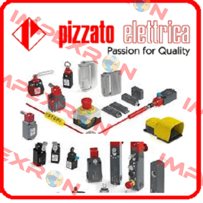 FD 505-2G  Pizzato Elettrica