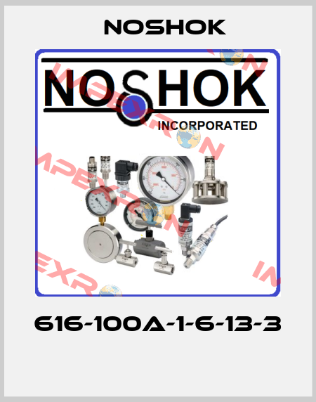 616-100A-1-6-13-3  Noshok