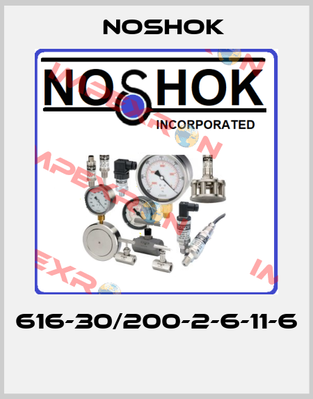 616-30/200-2-6-11-6  Noshok