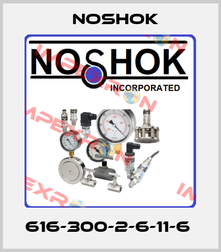 616-300-2-6-11-6  Noshok