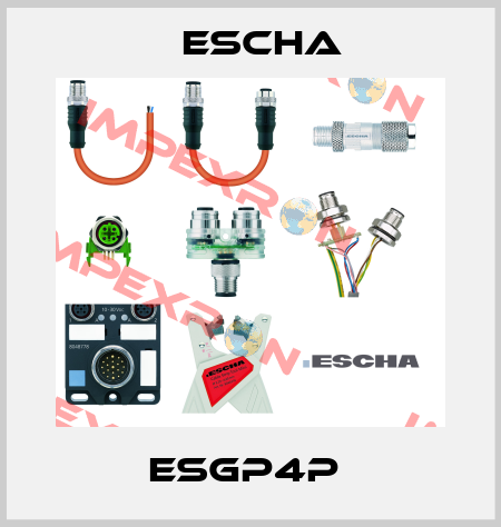 ESGP4P  Escha