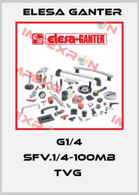 G1/4 SFV.1/4-100MB TVG  Elesa Ganter