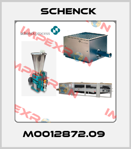M0012872.09  Schenck