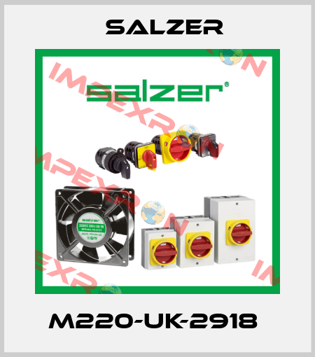 M220-UK-2918  Salzer