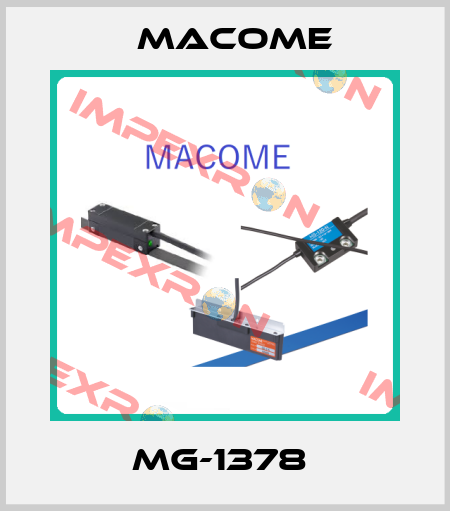 MG-1378  Macome