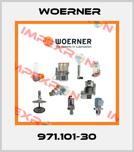 971.101-30 Woerner