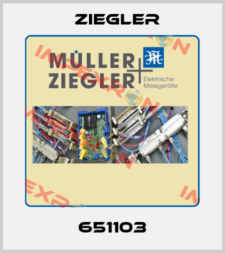 651103 Ziegler