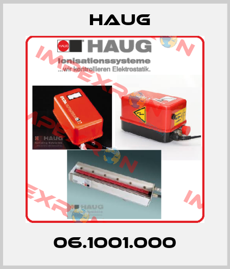 06.1001.000 Haug