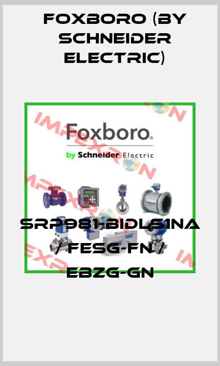 SRP981-BIDLS1NA / FESG-FN / EBZG-GN Foxboro (by Schneider Electric)
